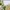 Casual Trench coat Wanita tan photo 4