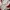 Adidas Y2K Casual Track jacket Pria white red photo 5