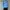 Umbro Y2K Casual Windbreaker Pria black blue photo 2