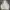 Nike Y2K Casual Track jacket Pria white black photo 1