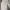 Nike Y2K Casual Track jacket Pria white black photo 6