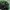 Kappa Y2K Casual Track jacket Pria green black photo 4