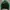 Kappa Y2K Casual Track jacket Pria green black photo 1