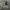 Champion Y2K Casual Track jacket Pria gray photo 4