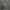 Champion Y2K Casual Track jacket Pria gray photo 1