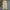 Dickies Streetwear Formal pants Pria khaki photo 3