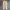 Dickies Streetwear Formal pants Pria khaki photo 4