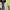 Starter Luxury Minimalist Track jacket Pria navy gray photo 6