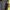 Dickies Gorpcore Casual Windbreaker Pria navy photo 6
