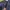 Dickies Gorpcore Casual Windbreaker Pria navy photo 3