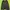 Fear of God ESSENTIALS Streetwear Luxury Hoody Pria green photo 2