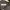 Fear of God ESSENTIALS Streetwear Luxury Hoody Pria green photo 6