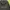 Fear of God ESSENTIALS Streetwear Luxury Hoody Pria green photo 3