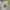 Carhartt Streetwear Hoody Pria white gray photo 4