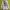 Carhartt Streetwear Hoody Pria white gray photo 1