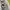 Carhartt Streetwear Hoody Pria white gray photo 3