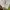 Carhartt Streetwear Hoody Pria white gray photo 5