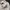 Grooverhyme Streetwear Casual Sweatshirt Pria cream photo 8