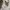 Grooverhyme Streetwear Casual Sweatshirt Pria cream photo 4