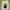 Stussy Streetwear Casual Sweatshirt Pria white photo 1