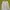 Stussy Streetwear Casual Sweatshirt Pria white photo 2
