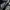 Adidas Casual Sneakers Pria navy photo 2