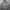Casual Jumper Pria gray photo 1