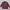 Lyle & Scott Casual Formal shirt Pria burgundy photo 1