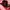 Casual Jumper Pria pink photo 4