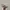 Adidas Casual Casual shoe Pria multicolor photo 1