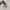 Adidas Casual Casual shoe Pria multicolor photo 4