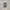 Adidas Casual Casual shoe Pria multicolor photo 3