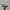 Adidas Casual Casual shoe Pria multicolor photo 1