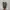 Adidas Casual Casual shoe Pria multicolor photo 5