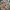 Luxury Casual Short Pria multicolor photo 1