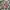 Luxury Casual Short Pria multicolor photo 3