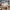 Luxury Casual Short Pria multicolor photo 2