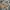Luxury Casual Short Pria multicolor photo 4