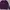 Elstinko Casual Sweater Pria purple photo 1