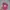 Streetwear Hat Pria white pink photo 4