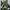 ZARA Casual Casual pants Pria green photo 1