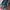 VANS Streetwear Sneakers Wanita blue photo 3