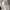 Dickies Casual Sweater Pria navy gray photo 5
