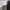 National Geographic Casual Sweater Pria gray photo 7
