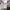 National Geographic Casual Sweater Pria gray photo 8