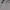 National Geographic Casual Sweater Pria gray photo 6