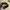 Steve Madden Minimalist Casual Sandals & slide Wanita black photo 5