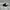 DC Shoes Streetwear Skater Hat Pria black photo 2