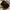 Coach Luxury Minimalist Handbag Wanita Black