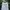 Le Coq Sportif Casual T-shirt Pria white photo 2